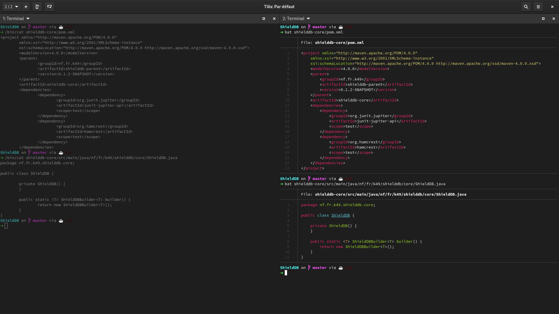 cat (à gauche) vs bat (à droite)
