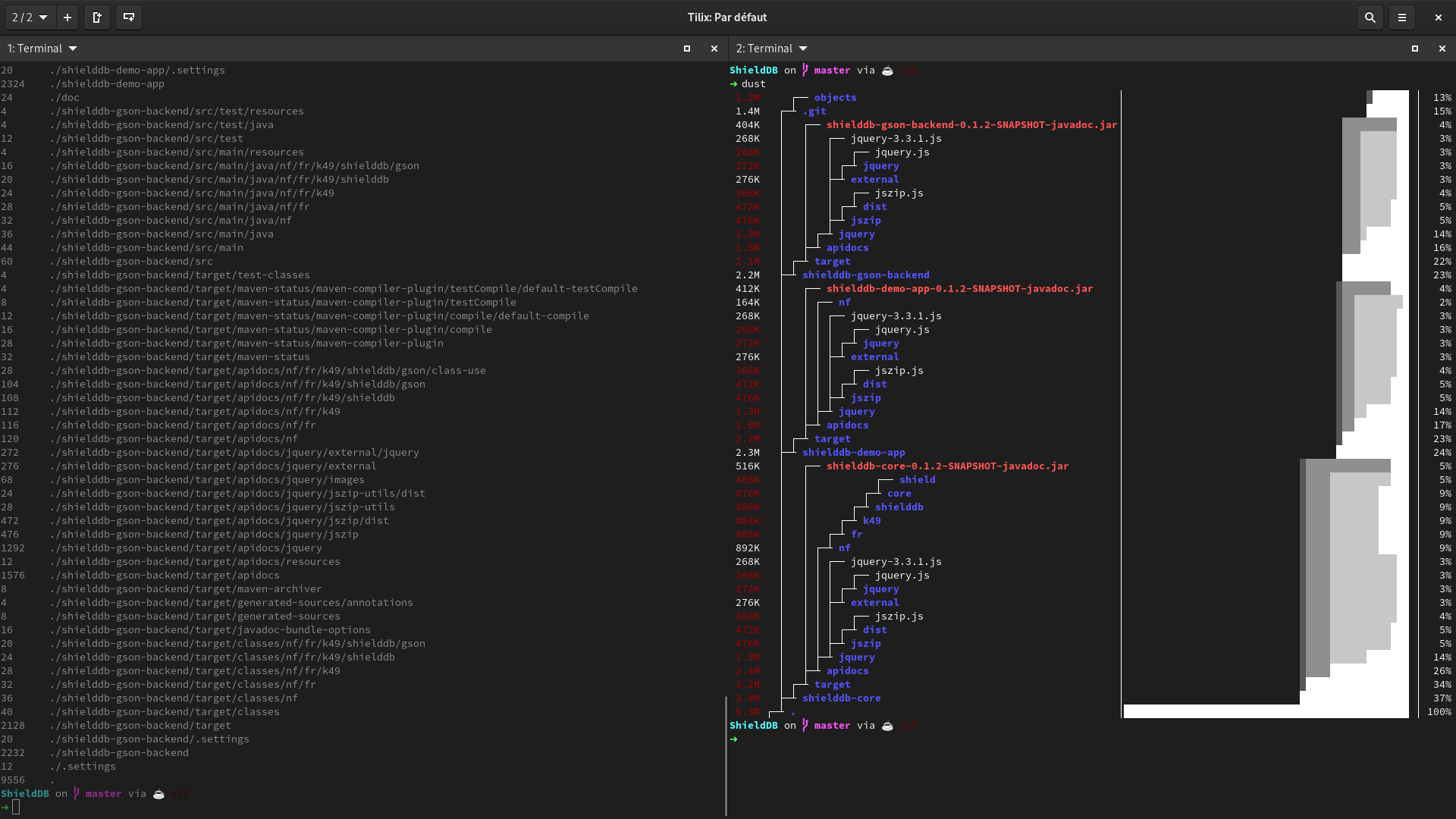 du (à gauche) vs dust (à droite)