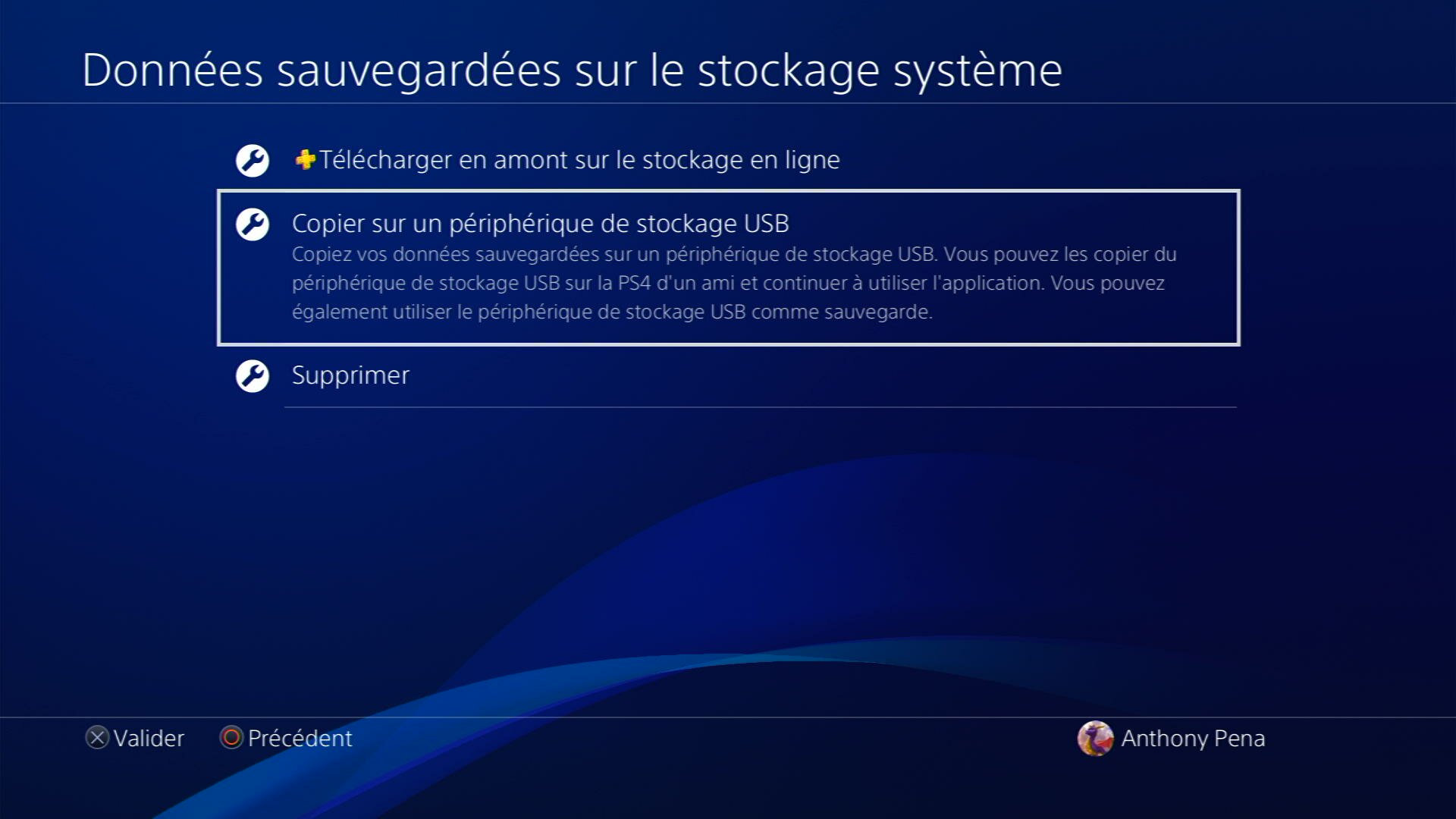 Backup des sauvegardes