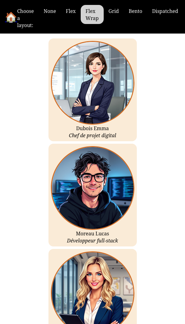 Vue de l'appli avec un layout flex wrap